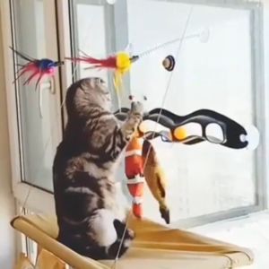 ของเล่นแมว ปลาตุ๊กตา Cat Claw Doll ของเล่นปลาฝ้าย ปลาดุกตุ๊กตา ของเล่นแมวต่างๆ ปลอดภัยและไม่มีสารที่เป็นอันตราย มี Cat Mint