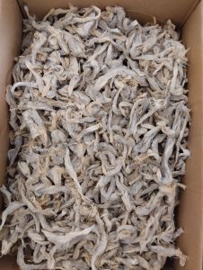 500 gr Teri jengki bulat/ikan peda/Jambrong /Bulu Ayam dll