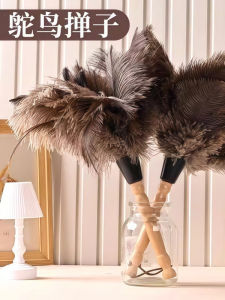 Non-Static Dust Removal Feather Duster for Home Use Ostrich Feather round Head Broomstick Household Floor Cleaning Tool
