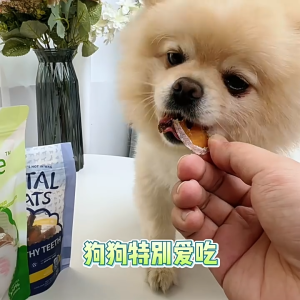 Dog Snacks Salmon Fresh Meat Sushi Roll Teddy bear Bichon Golden Retriever Teeth Cleaning Treat Dog Training Reward Snacks