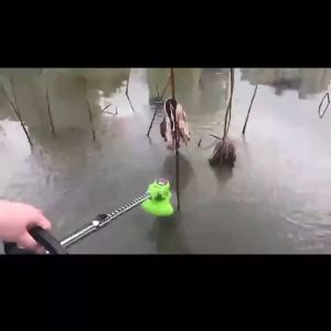 12V Cordless Grass Cutter & Mower: A Comprehensive Guide