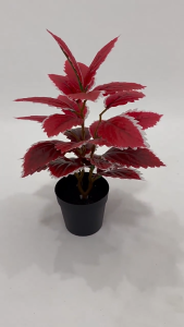 ส่งจากไทย ต้นไม้ปลอม ต้นฤาษีผสม 3สี สูง 30 ซม. 28 ใบ