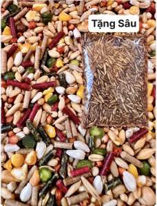 Ngũ Cốc Gà đá L1 - 5KG 125k tặng sâu CAXI