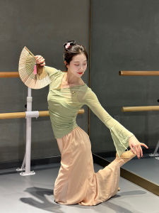 Classical Dance Costume Practice Suit Ethereal Mesh Skirt National Dance Basic Training Uniform Womens Sport Fitness Apparel