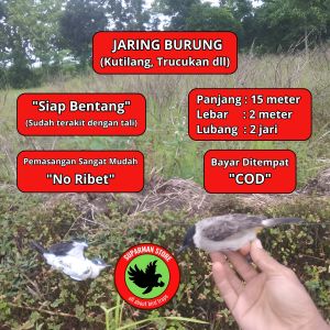 JARING BURUNG KUTILANG 10 JARING KUTILANG JARING BURUNG KETILANG JARING KETILANG JARING BURUNG 2 INCI JARING BURUNG CANGKURILANG JARING BURUNG TILANG JARING TILANG JARING MURAH JARING SIAP PAKE JARING TINGGAL PAKE JARING 2 IN JARING 2 JARI JARING 2 INCHI