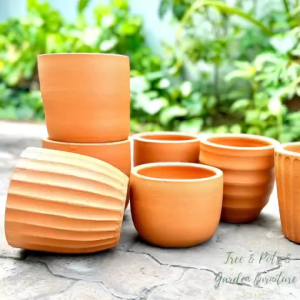 กระถางดินเผา กระถางต้นไม้ ขนาด 6 นิ้ว เคลือบกันเชื้อรา แข็งแรงทนทาน เหมาะกับการปลูกต้นไม้ทุกชนิด