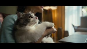 Teh Celup Sosro 2 in 1 Carton Pack (1 Karton Isi 48 Pouch)