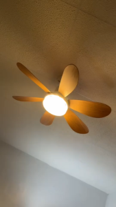 Jiditech Ceiling Fan Light 52CM/62CM/63.5CM Diameter 2-in-1 Fan and Light with Remote Control