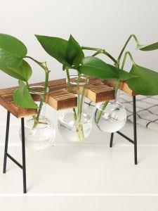 วัตถุประดับโต๊ะหน้าต่างที่สวยงามและดูดี มีเอกลักษณ์เฉพาะตัว ต้นไม้แบบ Water Culture Green Ivy ที่ทำจากแก้ว ดีไซน์เรียบง่ายและทันสมัย