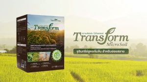 Transform Micro Soilผลิตภัณฑ์สารเสริมประสิทธิภาพจุลินทรีย์ สูตรเข้มข้น สำหรับการย่อยสลาย ประกอบไปด้วยจุลินทรีย์สายพันธุ์ดี มากกว่า 10 ชนิด