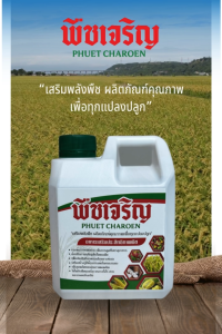 [แพ็คสุดคุ้ม 2 ขวด!] พืชเจริญ อาหารเสริมประสิทธิภาพพืช ใช้ได้กับพืชทุกชนิด 1000 cc.