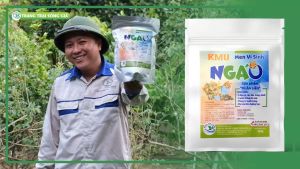 Men vi sinh hữu cơ KMU Ngáo xử lí mùi hôi rác thải giải pháp hoàn hảo cho gia đình và môi trường. Tiết kiệm nhanh chóng hiệu quả..