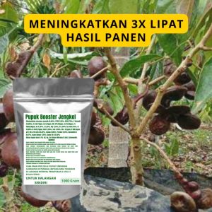 Pupuk Booster Jengkol Pelebat Organik Cepat Berbuah Lebat Besar Anti Rontok Pembesar Jengkol