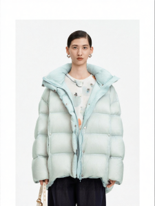 White Goose Down撞Color Winter Womens Loose Quilted Coat
