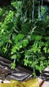 Cành Lá Táo Giả Rời Trang Trí Hoa Nhà Cửa