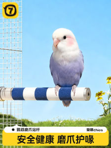 Parrot Stand Pole Claw Grinding Beak Grinding Toy Bird Supplies Specialized Small Sun Dedicated Parrot Training Interactive Perch