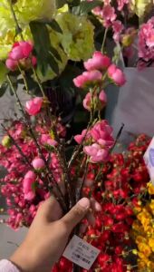 Artificial Sakura Flower Bunga Hiasan Rumah CNY  🇲🇾梅花枝 Sakura Flower  桃花 新年花胡2024虎年农历新 Flower Bouquet Artificial Accessories Flower Arrangement Decoration Flower for Graduation Gift Special Day Loved One