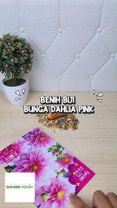 Bibit Tanaman / Bibit Bunga / Bunga Dahlia Pink Berkualitas Isi 100 Benih / Benih