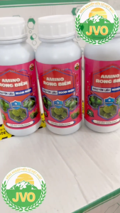 AMINO RONG BIỂN Chai 500ml Dưỡng Rễ Bung Đọt Xanh Lá Phục Hồi Cây Tăng Sinh Lực Cây Trồng JVO97 NongNghiepVietNhat