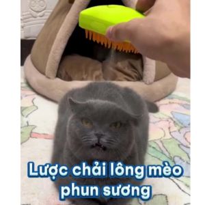 Lược/Bàn Chải Điện Phun Hơi Nước Mát Xa 3 Trong 1 Cho Mèo Lược Hơi Nước Giúp Massage Làm Sạch Lông Cho Thú Cưng