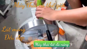 Máy thái lát từ 04l đến 08ly  thái  tất cả các loại củ quả