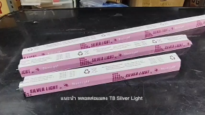 Silver Light หลอด นีออน Blacklight T8 18W 60CM ล่อแมลง ดิสโก้เทค การแพทย์ ส่องธนบัตร สีฟ้า สำหรับ เครื่องดักยุง ดักแมลง รา