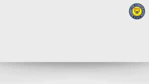 Newstar Automatic Voltage Regulator Servo Motor Type AVR 500 Watts to 2000 Watts NDVS-Series