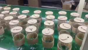 <1118> อเมซอน 16oz ถ้วยแก้วโคล่าชานมนิยมในโลกออนไลน์ถ้วยกาแฟบอโรซิลิเกตสูงทนอุณหภูมิสูงถ้วยน้ำมีฝาปิดฟาง