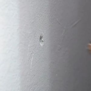 Hoveshop Bantalan Pelindung Pengaman Pengganjal Penahan Pintu Dinding Tembok Lemari Karet Silikon Pengaman