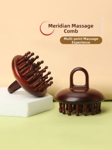 XIAOLIZI | Natural Sandalwood Massaging Hair Wash Comb