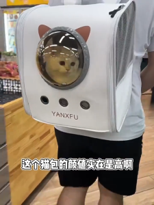 Large Cat Backpack Breathable Mesh Space Capsule Pet Carrier Travel Bag for Cats