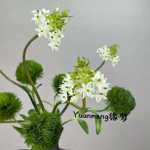 Green Artificial Flowers Decorative Ornaments Photography Props Simulation Plant Rockery Fake Flower Arrangement Home Decor