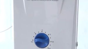 Health and wellness 400mg/h ozone generator air purifier removes pesticide residues from vegetables and fruits 多功能果蔬净化器 活氧机 臭氧机 瓜果蔬菜机 空气器