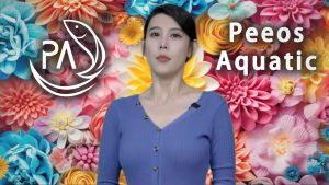 PA TreeLife 1L Broadspectrum anti-microbial plant protection Fungicide bactericidal agent flower fruit vegetable tumbuhan pokok buah-buahan 植物花草种子 杀菌真菌消毒帮助生长