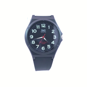 Q&Q RUBBER WATCH (VQ66J024Y)