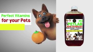 Multivitamins Plus Probiotics and Prebiotics - PETLAB Japan Technology 350ml for Pets and Animals: Pigs, Dogs, Cats, Chickens, etc.
