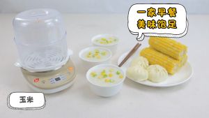 Bear Food Steamer Multi Electric Cooker Egg Boiler Breakfast Maker Machine for Siomai Milk Siopao with Smart Timer