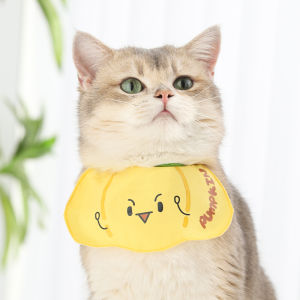 Khăn Choàng Cho Mèo Dễ Thương Mùa Thu Đông Cho Mèo Con Mèo Con Màu Bạc Lót Mềm Mại Cho Thú Cưng Trang Trí Phụ Kiện Quần Áo