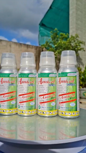 (Chai 240ml) Thuốc trừ bệnh Amicol 360EC Phòng & Trị Lem lép hạt trên lúa. Có Amicol - Không còn lo bệnh.
