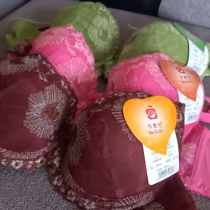 Bra Wanita Dewasa Busa Kawat Brokat Size Mini (SFE8918)