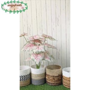 Pohon Artifiicial & Pohon Hias Calladium Pink: Dekorasi Ruang Tamu Aesthetic