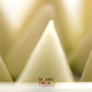 GRADE A MILK HONEYDEW IMPORTED FROM MALAYSIA - PACK OF 1 - ISTANA ROYAL FRUITS