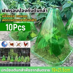MegaMate ฝาครอบป้องกันต้นกล้า แบบโปร่งแสง ชุด 10 ชิ้น ทนแดด กันแมลง นำกลับมาใช้ใหม่ได้ สำหรับปลูกต้นกล้า Plant cover