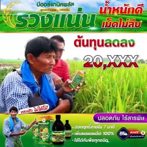 บีออร์แกนิคพลัส ฮอร์โมนพืช ปุ๋ยน้ำ ปุ๋ยทางใบ สารบำรุงพืช ขนาด 200cc ฉีดพ่น ได้ 20 ไร่