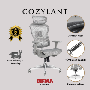 Cozylant Lumi Ergonomic Home Office Chair / Mesh Chair / Optional Leg Rest / Titable Backrest and Seat / Study Chair /Computer Chair / Gaming Chair
