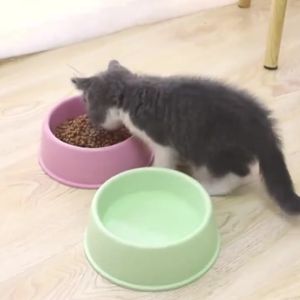 PP Foot Print Candy Single Pet Bowl Color Pet Bowl Frosted Dog Bowls Large Pet Feeding Bowls 宠物塑料碗 猫碗 狗碗