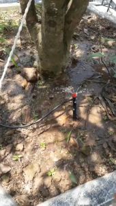 Bộ tưới cây tự động 20 đầu cắm phun 8 tia có thân cắm kèm van nước hẹn giờ