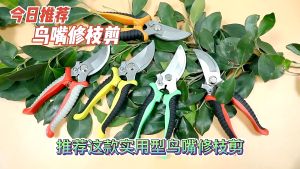 【COD】SK5 Pruning Shears Gardening Tools Garden Scissors Trimmer Secateurs / Gunting Pangkas Ranting Dahan Keluli 防滑省力手动修枝剪