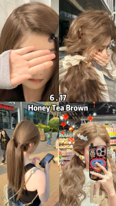 Bremod Hair Color Permanent Honey Tea Brown 100ml+Oxidizer 100ml Hair Dye Stylish hair color hair dye Show whiteness BR-R301-6.17