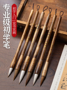 Professional Calligraphy Brush Set for Beginners And Adults Soft Pen Script Practice Wolf Hair Sheep Hair Calligraphy Brushes
